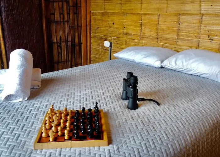 Hakuna Matata Glamping Timon