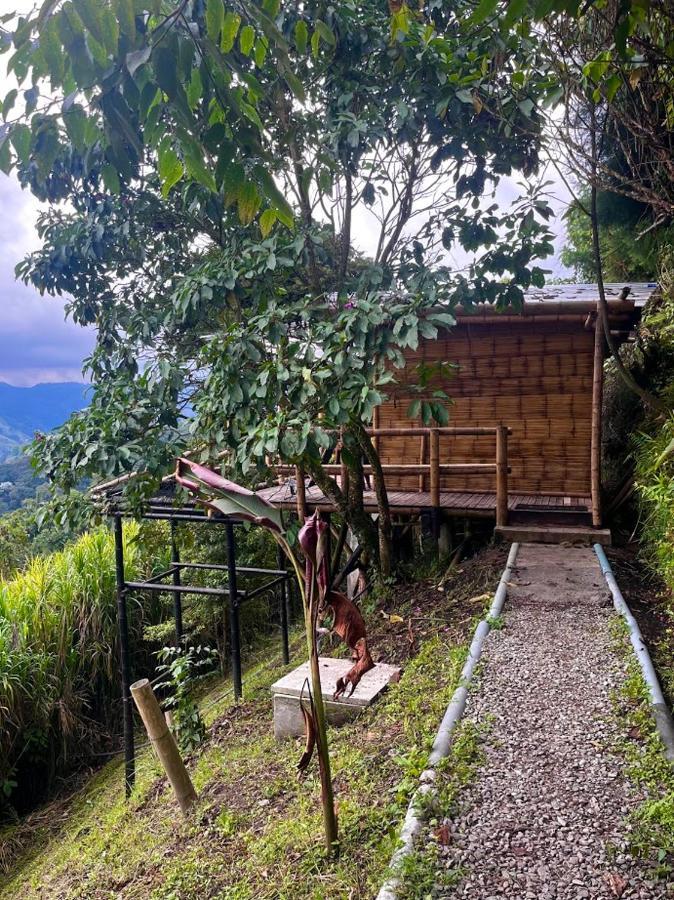 Hakuna Matata Glamping Timon * Salento
